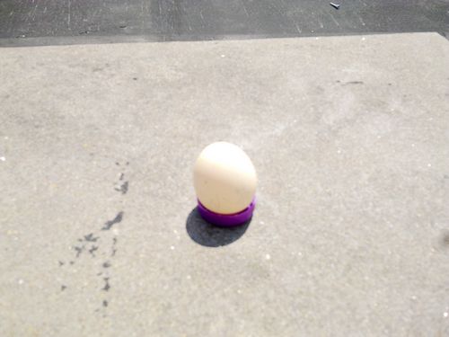20100723871.jpg