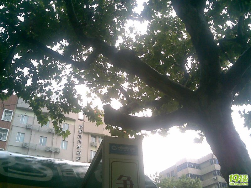 20100804(002).jpg