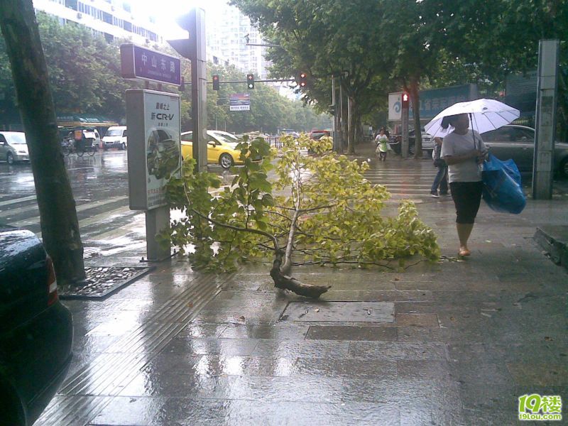 20100804.jpg