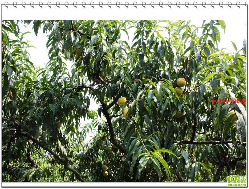 �㱱�һ��� 027.jpg