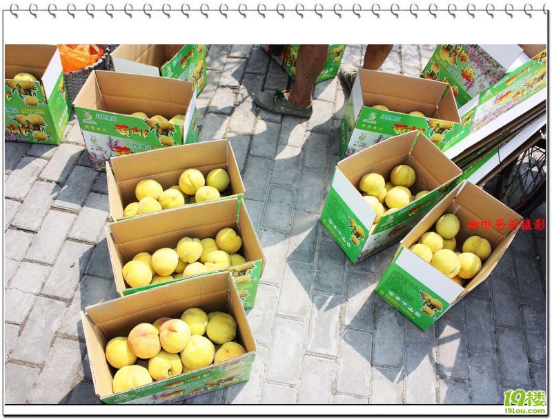 �㱱�һ��� 014.jpg