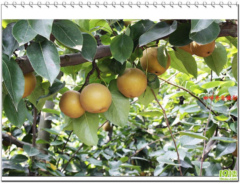 �㱱�һ��� 028.jpg