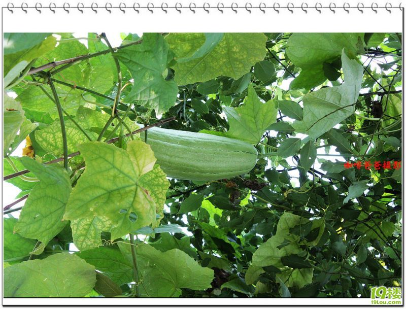 �㱱�һ��� 030.jpg