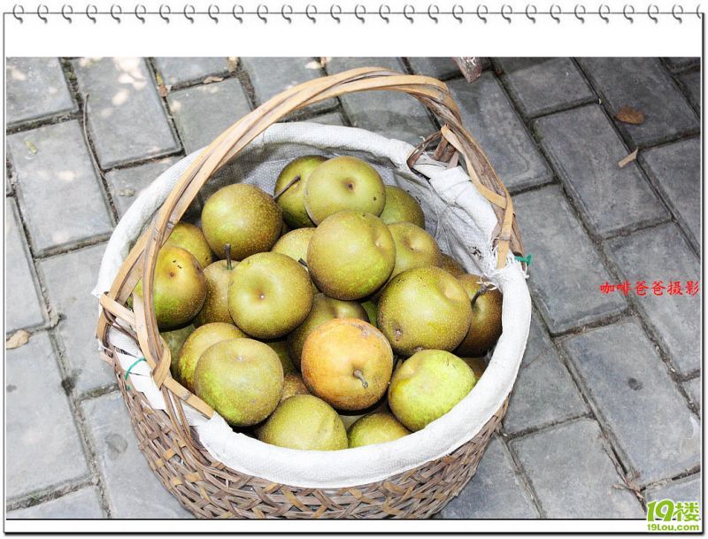 �㱱�һ��� 022.jpg