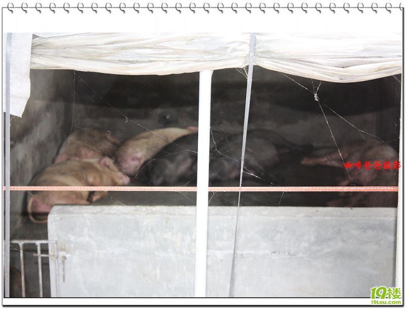 �㱱�һ��� 031.jpg