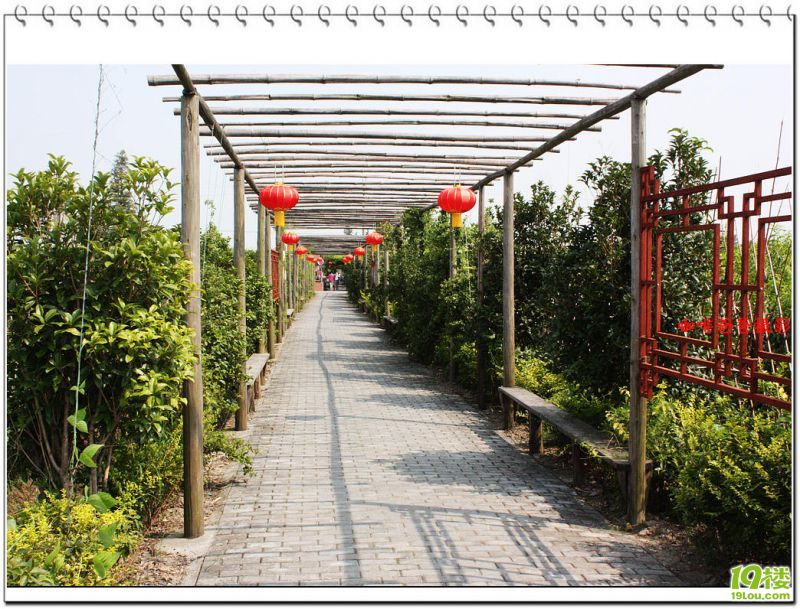 �㱱�һ��� 016.jpg