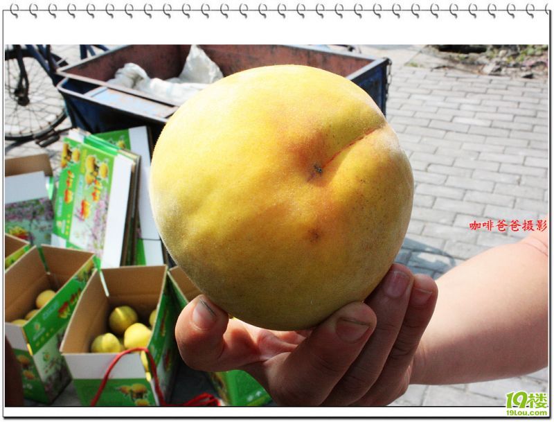 �㱱�һ��� 015.jpg