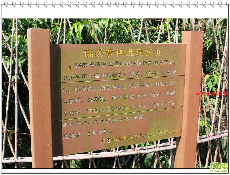 �㱱�һ��� 026.jpg