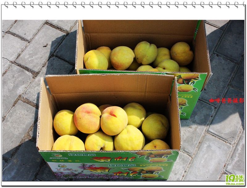 �㱱�һ��� 013.jpg