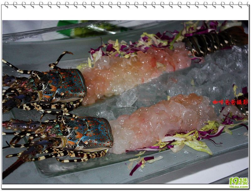 ����ϵ���л�֮��ʳ 17.jpg