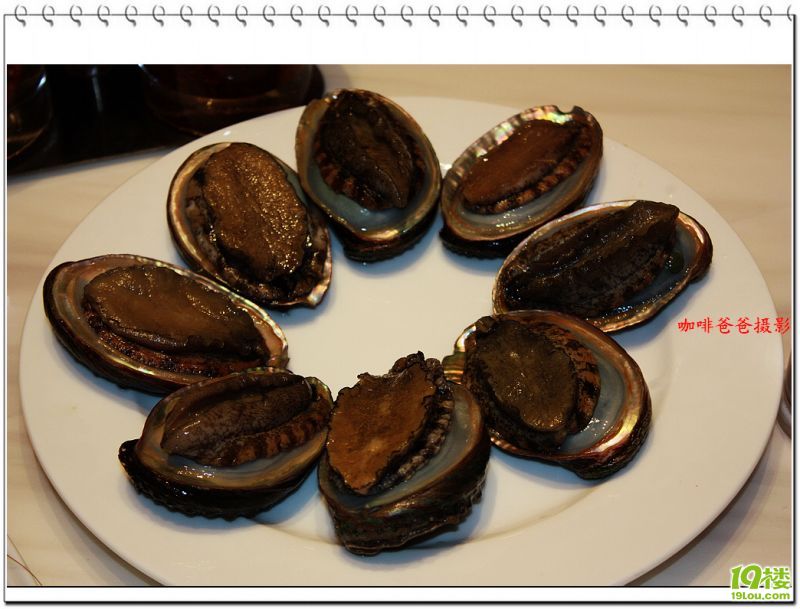 Ʒ�����ʶ��� 029.jpg