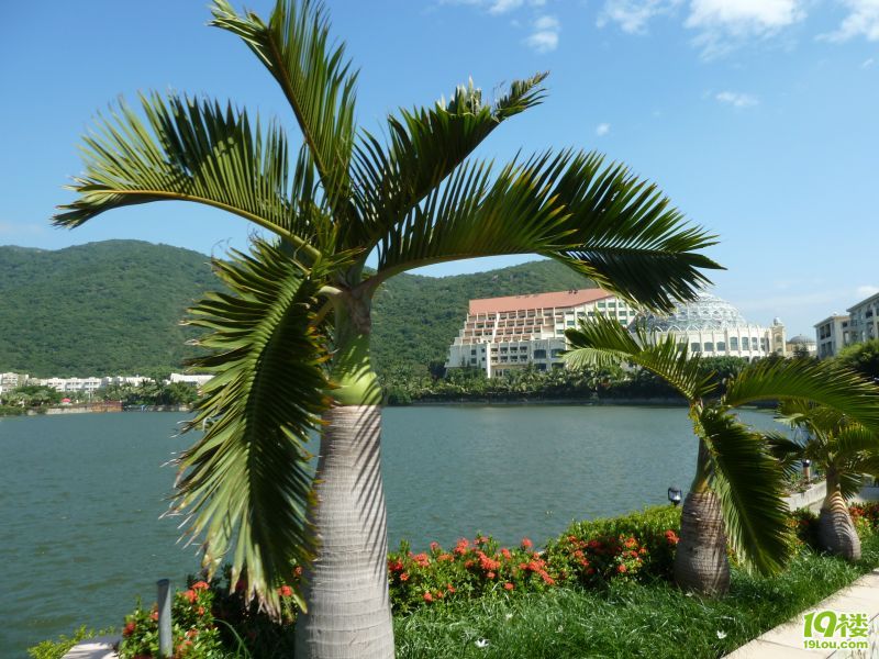 P1020311.JPG