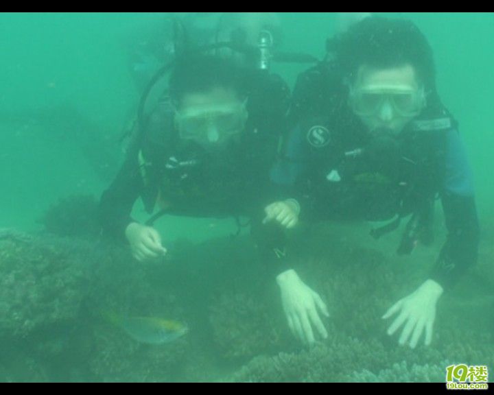 FC400564-8DBB-4A86-90E8-DFBAAD355020.jpg