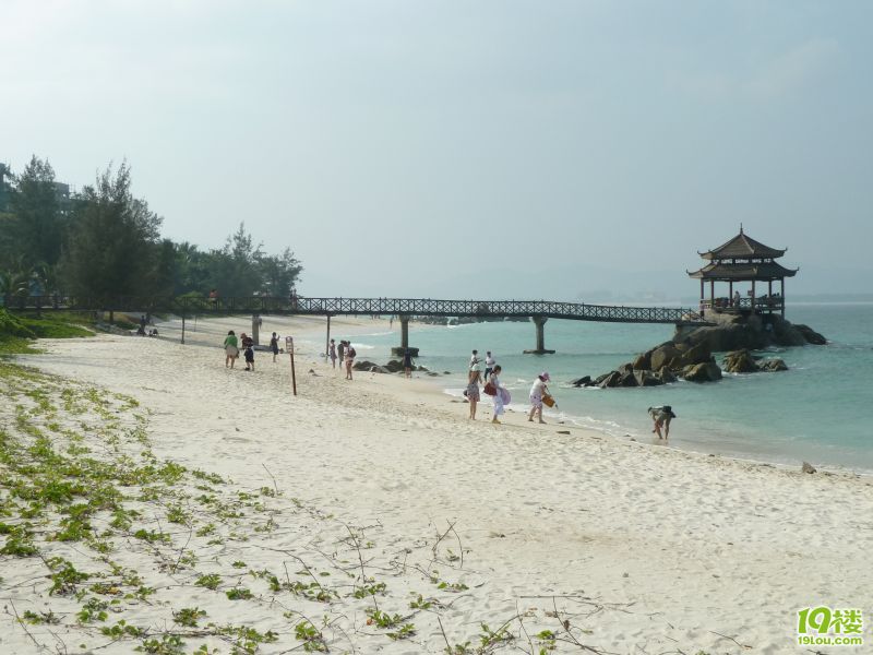 P1020432.JPG