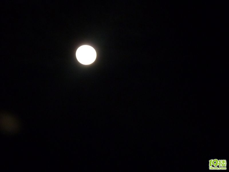 P1020596.JPG
