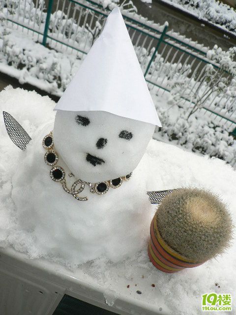 middle_20101216_968a1c930ed222cc7150TWvq6Nk44XQi.jpg