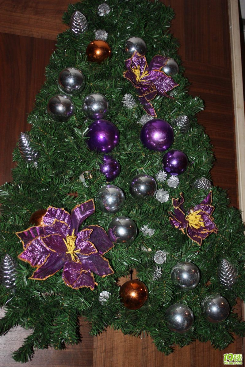 19¥�׽����ѽ� 008.jpg