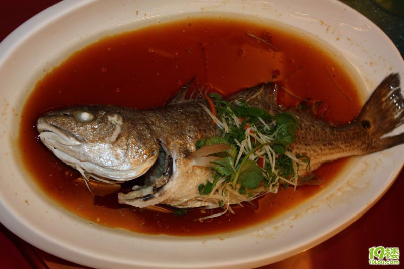 19¥�׽����ѽ� 089.jpg