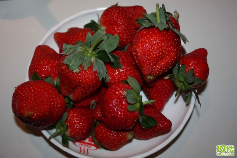 ����������� 20.jpg