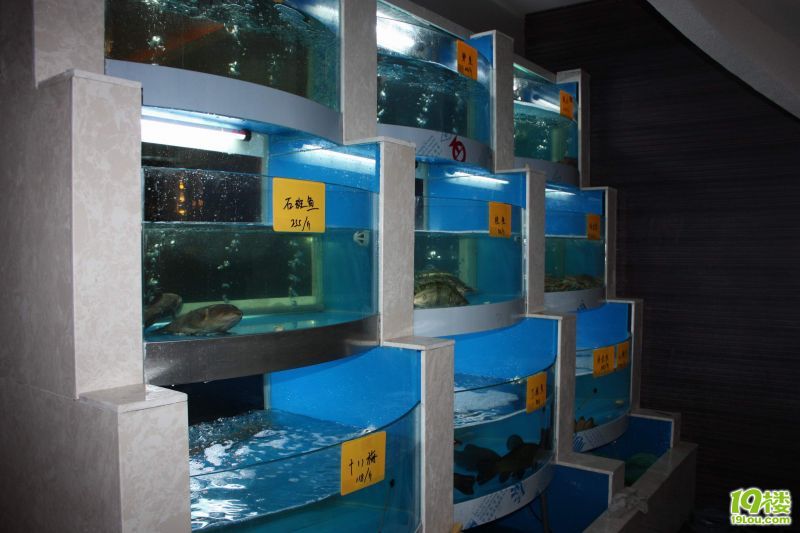 ���̷� 11.jpg