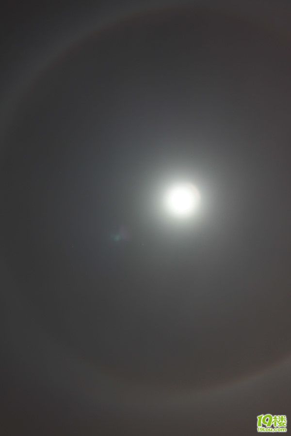 p_large_2fF0_21ea0000a7015c40.jpg