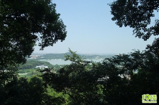 6500188_b.jpg