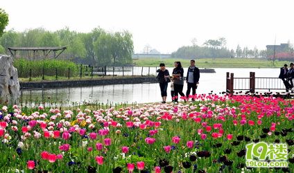 2011031910111943.JPG