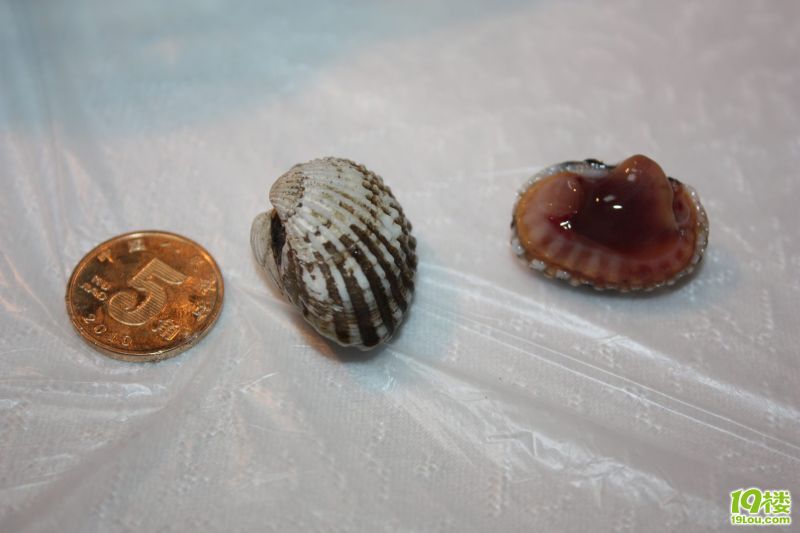 ��ũ���� 16.jpg