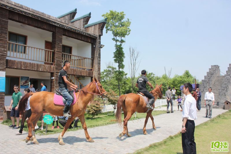 ������ 49.jpg