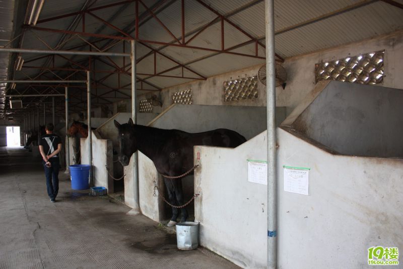 ������ 45.jpg