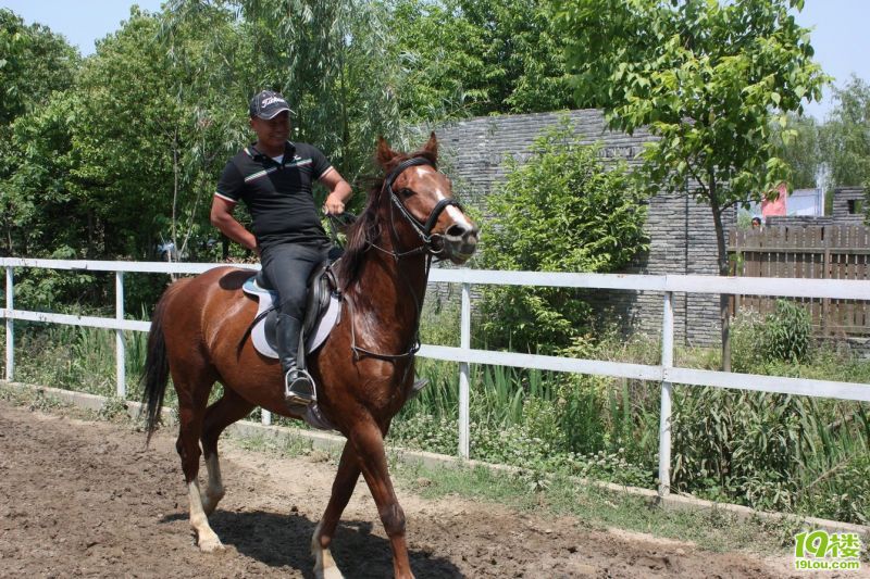 ������ 54.jpg