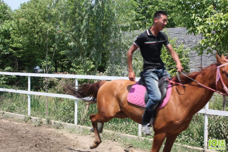 ������ 53.jpg