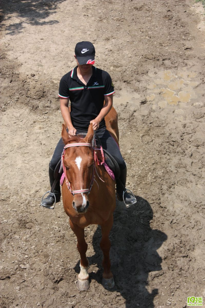 ������ 50.jpg