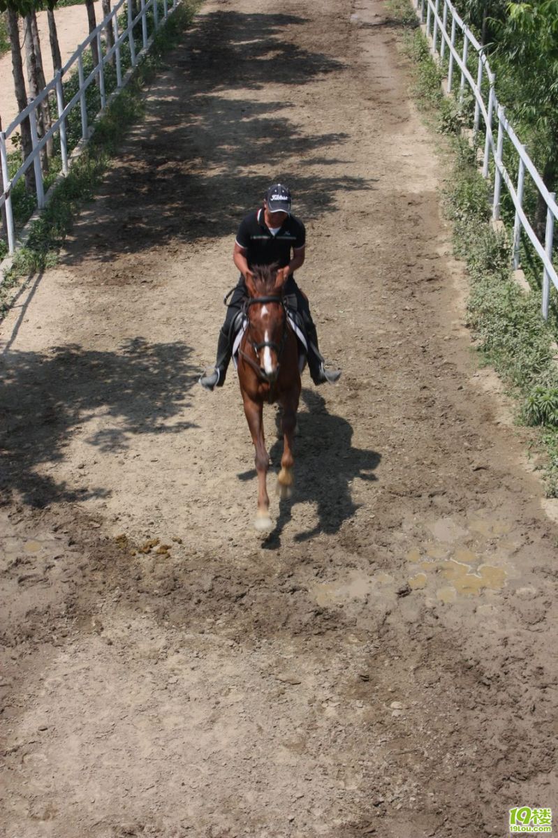 ������ 52.jpg