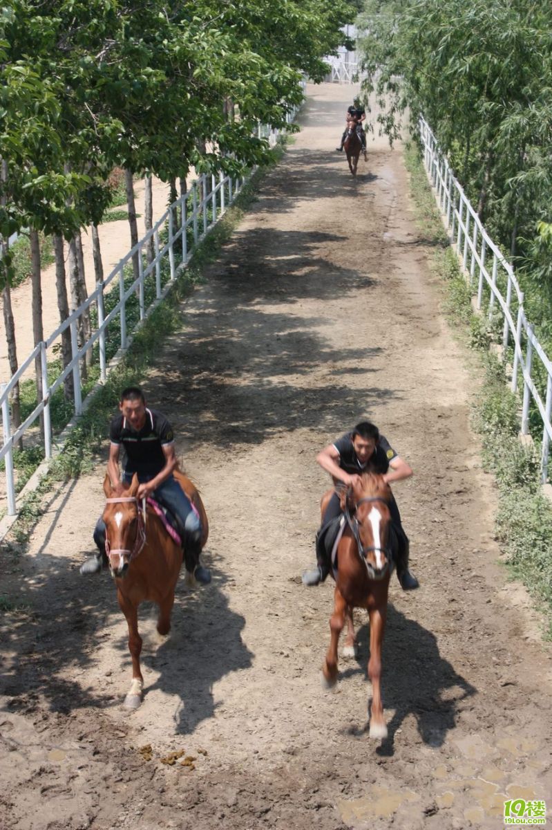 ������ 51.jpg