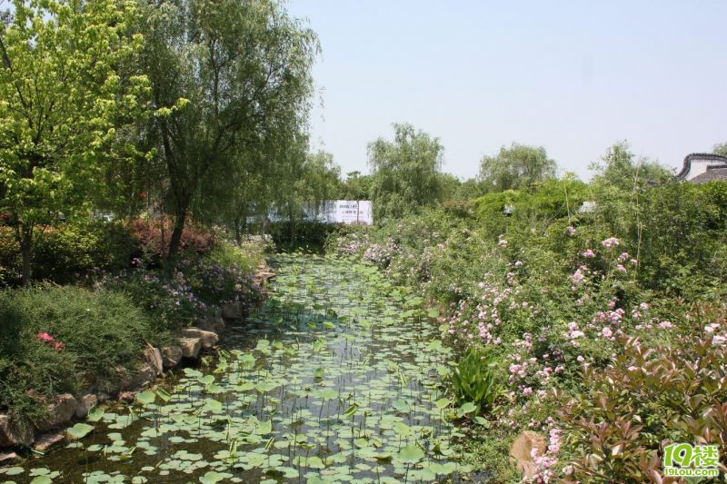 ������ 41.jpg