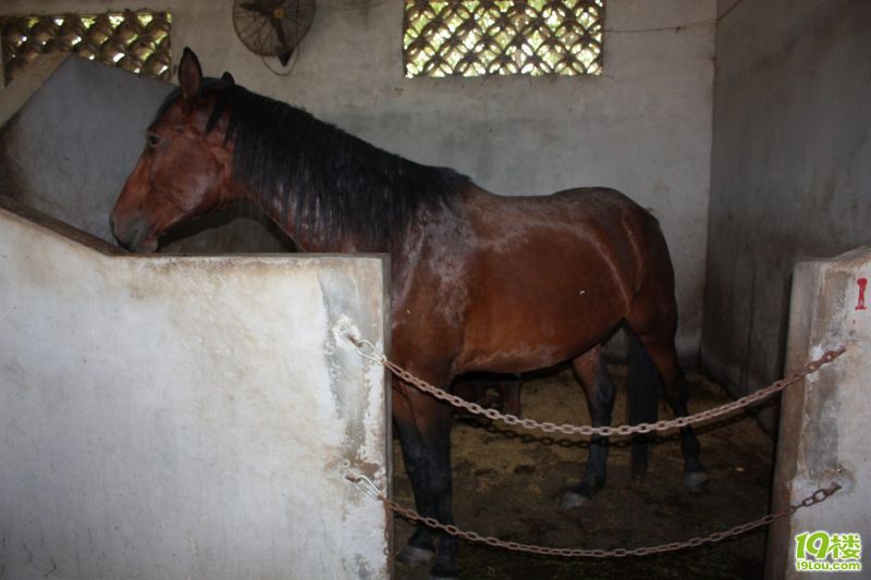 ������ 46.jpg