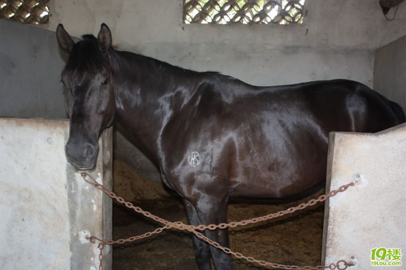 ������ 44.jpg