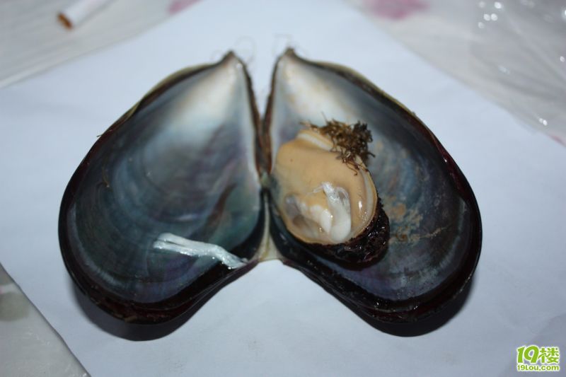 ��ũ�����Ź� 018.jpg