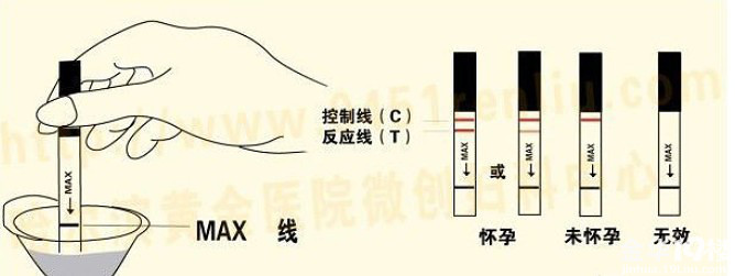 早早孕试纸准吗