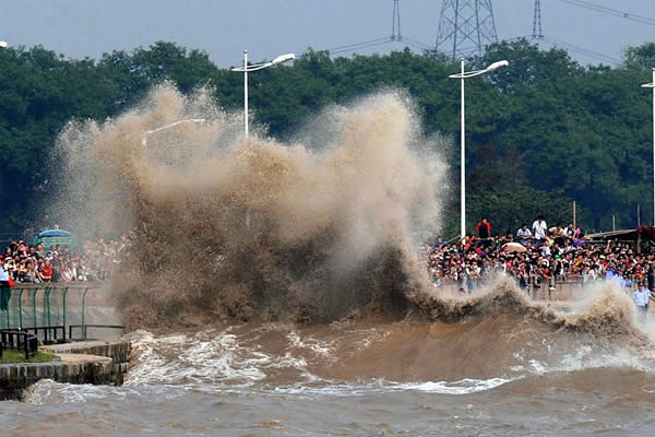 昨日观潮 看到非常壮观的场景(图)