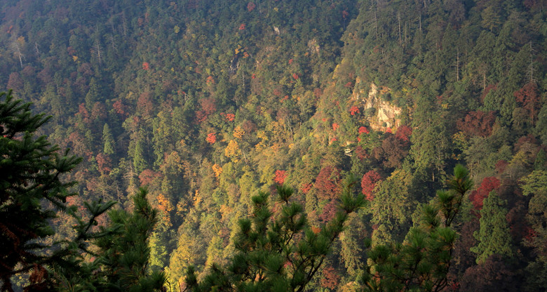 天目四面峰晨曦