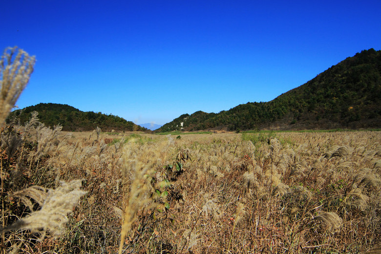 正午大明山顶千亩田