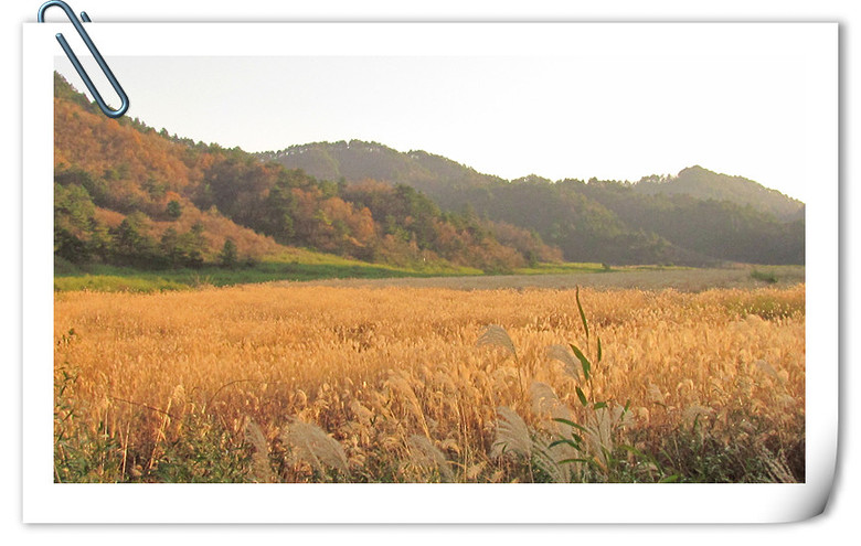 游大明山宿千亩田