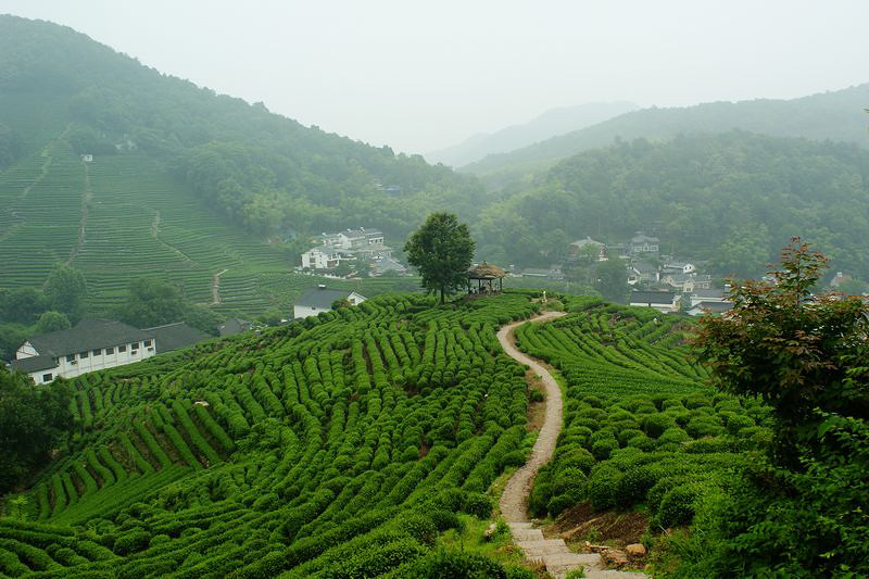 十里琅珰你去过吗