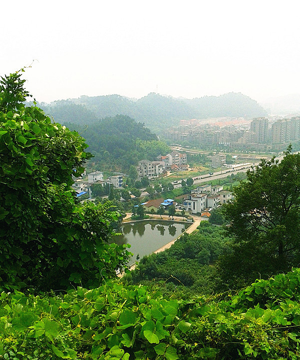 功臣山游玩手机随拍