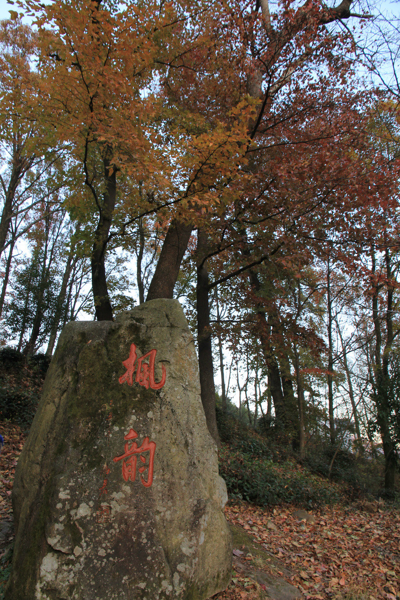 指南山风光!-晒照片-摄影部落-临安19楼