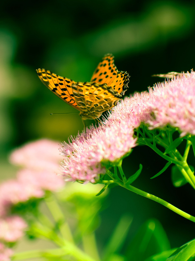 南天目一处难得的清静地