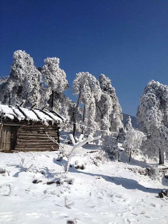 临安百丈岭的雪景