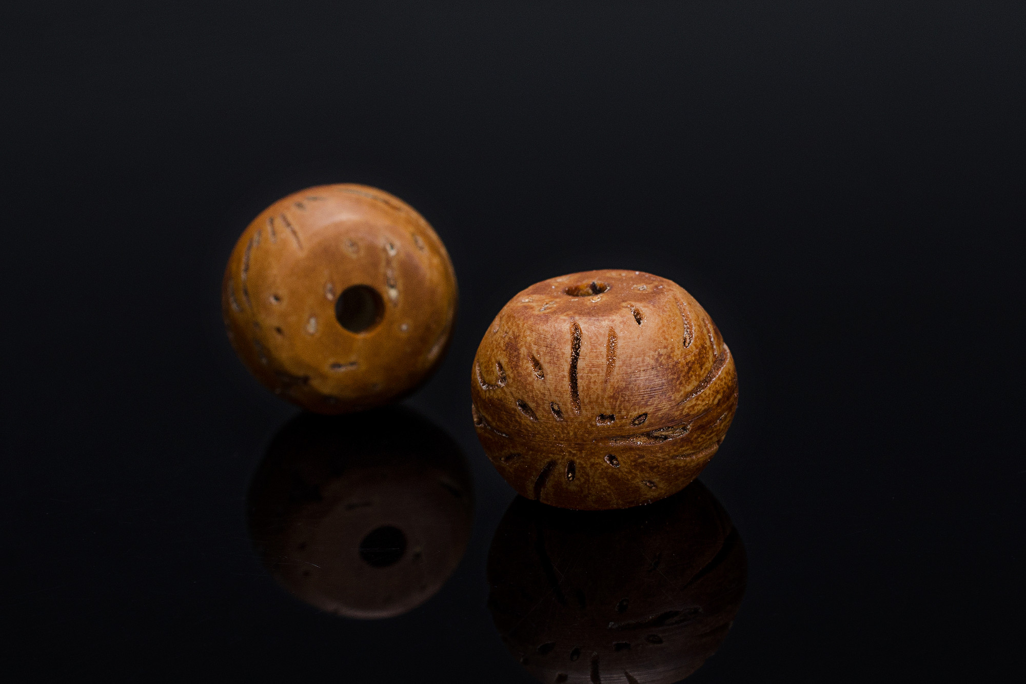 拍摄象牙果菩提籽等小片几张